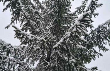 Zgora mora-above the sea-peacefull,family frendly - Foto 39