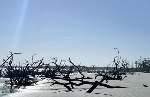 OCEANFRONT K Building!! Incredible views. Steps from the Beach - Foto 46