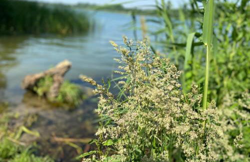 K 357 - Low budget Hotel in Ratekau bei Lübeck - Foto 58