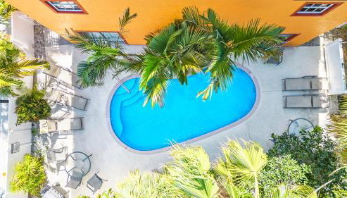 Siesta Key Village, Heated Pool, Beach Access 4 min Walk, 3bdr - Foto 5, Garden, sunbed