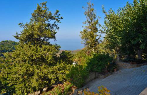 Endless green 1 Arethousa Ikaria - Photo 37