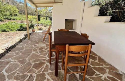 Traditional house with fresh vegetables garden - Foto 40