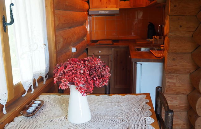 Mas Cal Sastre - Photo 51