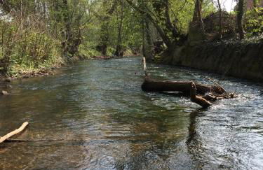 Alte Schule Wachenheim im Zellertal - Foto 17