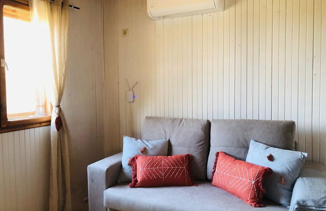 Hamlet's Friends - Foto 27