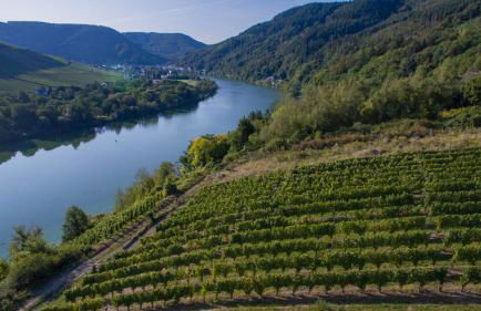 Ferienhaus Moselhöhe - 2023 neu renoviert, mit Design-Ausstattung & großem Garten - Foto 65