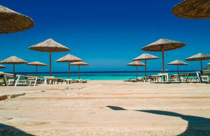 Cornelia Hippie Magic Bus - Foto 48