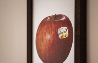 Untermoarhof Albeins - Foto 21