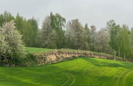 W Kręgu Natury - Foto 36