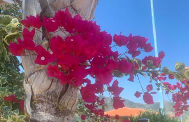 Villetta Fichera Monolocale - Foto 11