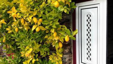 Casa da Escola Antiga - Foto 5