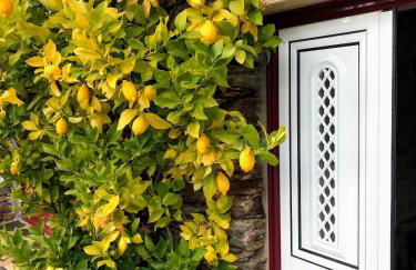 Casa da Escola Antiga - Foto 5