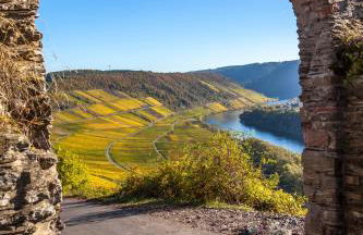 Haus Brandenburg an der Mosel - Foto 16