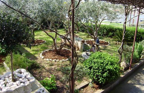 Apartments Kapetanovi Dvori - Photo 72