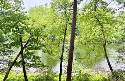 Country Comfort Cabin Delaware River Islands - Foto 30