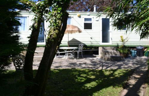 Swallows Return - Foto 15