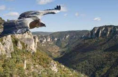 La Maison de Françoise à La Bourgarie - Foto 20