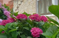 Holiday House Fantasy With Pool - Foto 69