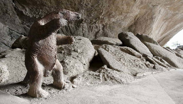 Escursione a Torres del Paine - Foto 2