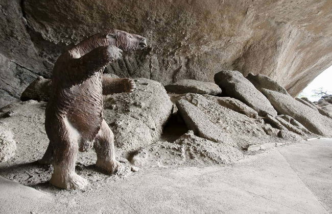 Torres del Paine Trip - Photo 2