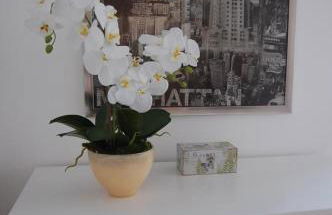 Live in Abrantes - Foto 8