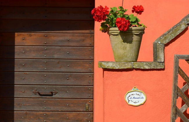 Borgo Mandoleto - Foto 76