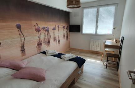 Gîte La Terrasse du Loir à 2km du Zoo de la Flèche - Photo 14