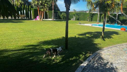 Quinta Das Palmeiras - Foto 4, Garden