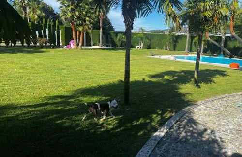 Quinta Das Palmeiras - Foto 4