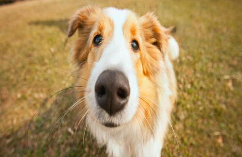 Luxurious Villa in Loja With Swimming Pool - Foto 56