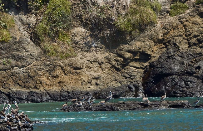 Salango Island Tour - Photo 1