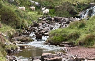 Charming 2 bedroom cottage in Brecon - families and pets welcome! - Foto 22