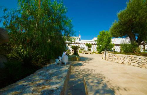 Masseria Cinti - Foto 111