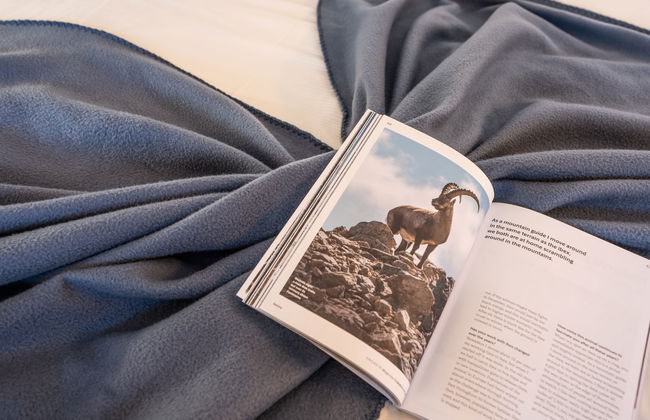 Chesa Corvatsch 111 - Champfer - Foto 11