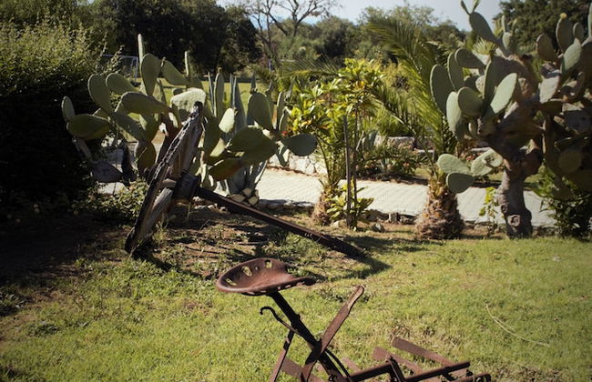 Agriturismo Ninea - Foto 15