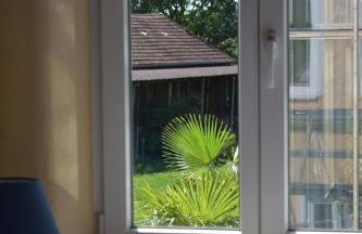 Palmengarten - Foto 25