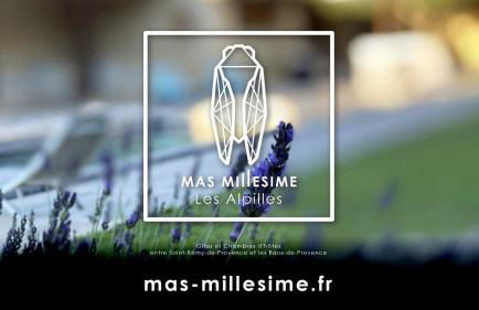 Mas Millésime - Gîtes Carignan - 4 pers - piscine privative - St Remy de Provence - Photo 24