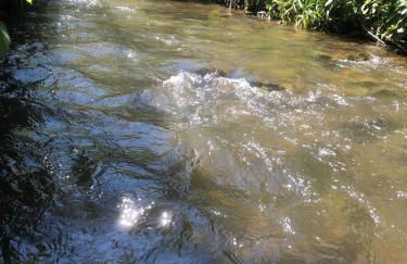 Ferienwohnung Schlossberg 2 - Foto 15