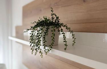 Vila Maria Beach Apartments - Foto 6