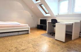 Großzügige Altbauwohnung mitten in der City - Foto 12