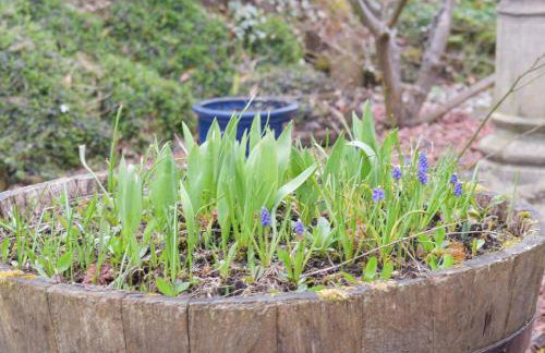 The Shieling - Photo 22