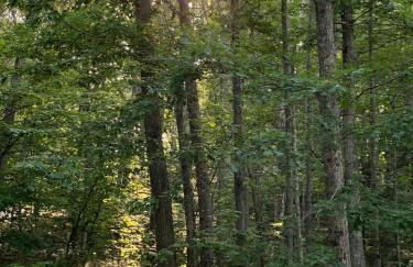 Quiet Lake home 3 mi from Camden! - Foto 38