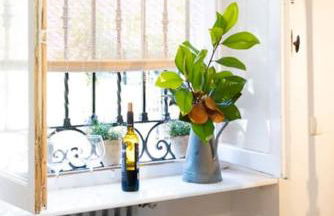 Villa colonial Jardin Algorta centro Puerto Viejo - Foto 23