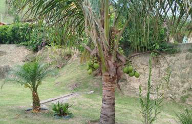 Canto dos Pássaros, Sana - Photo 25