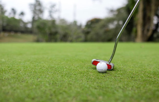 Ama Plantation Trails , Coorg - Foto 62