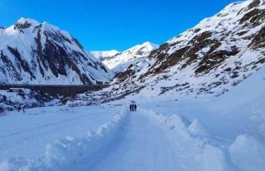 Verde Bosco - Photo 29