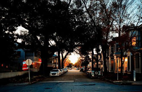 Private Hot Tub Historic Savannah Home - Foto 30