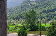 Los Cachorros - Foto 7