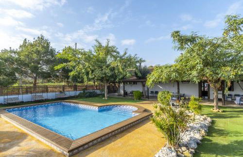 Finca Los Caleros - Algorfa - Foto 1