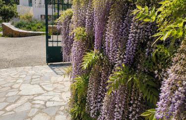 House Moschα - Foto 13